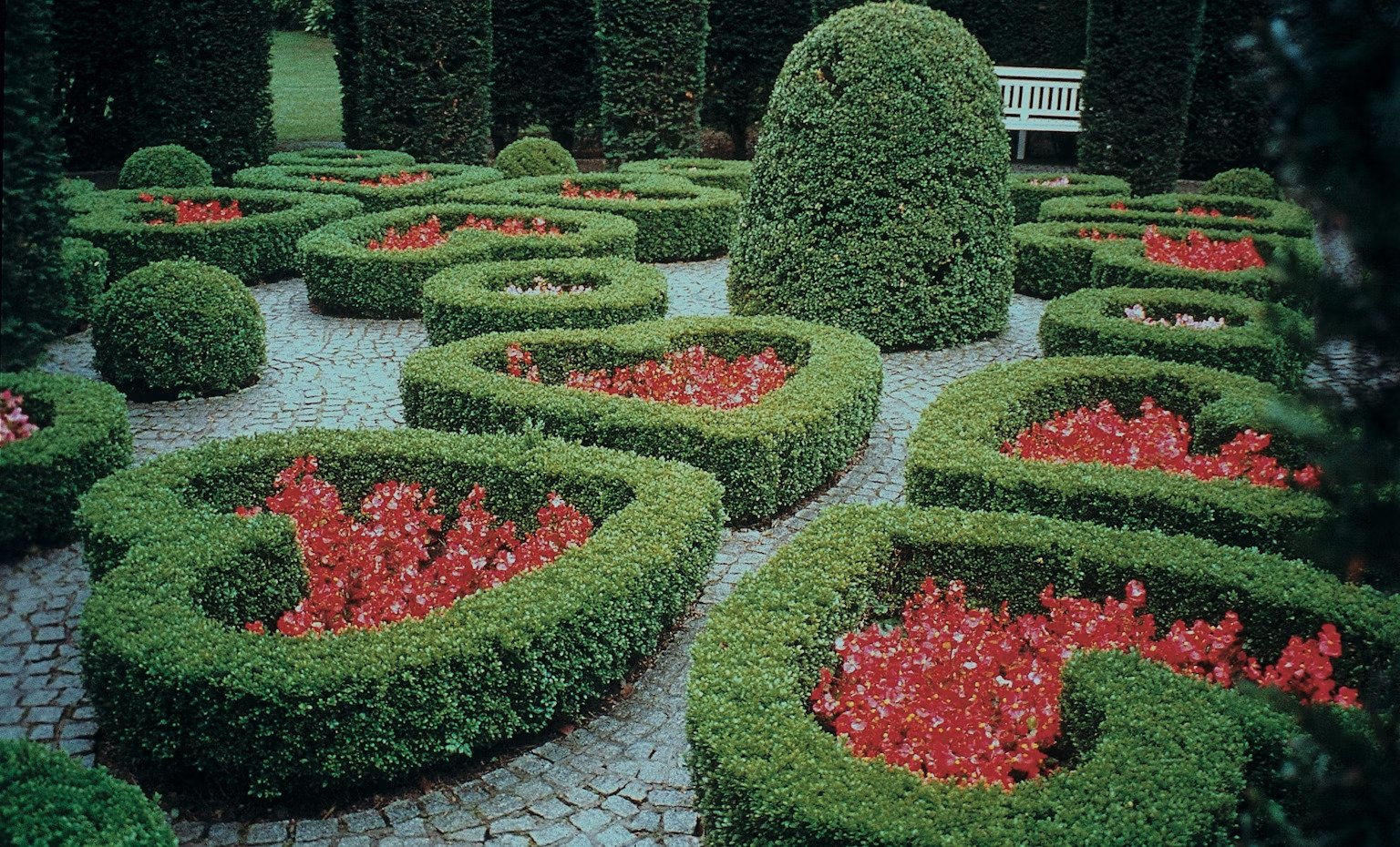 Parc et jardins de bruxelles